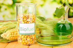 Vogue biofuel availability